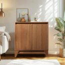 2 - Door Accent Cabinet With Adjustable Shelf